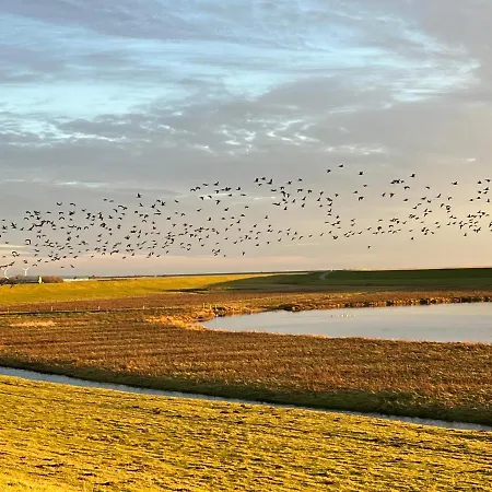 Apartament Hyggelig Am Deich