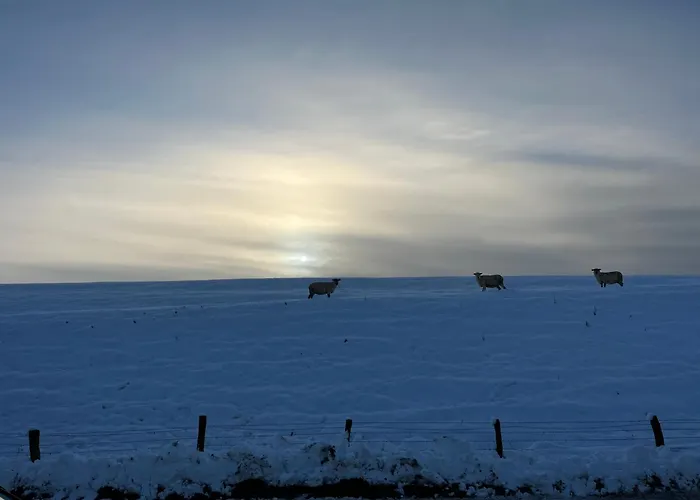 Appartement Hyggelig Am Deich Ockholm